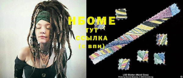 индика Абаза