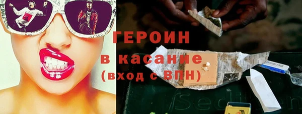 индика Абаза