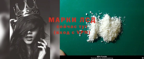 индика Абаза