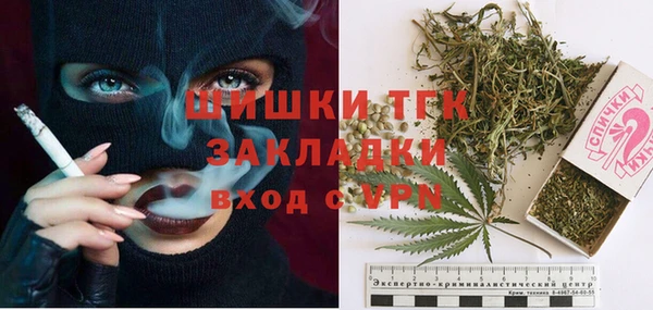 индика Абаза