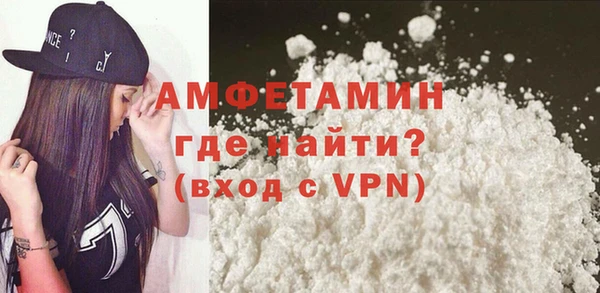 индика Абаза