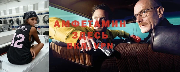 индика Абаза
