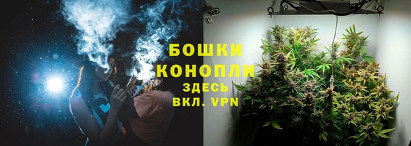 PSILOCYBIN Абдулино