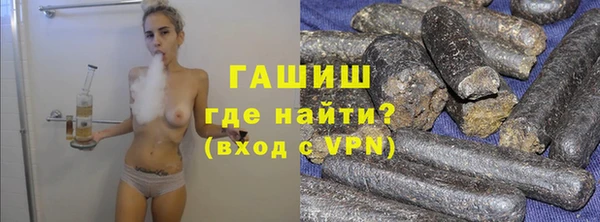 индика Абаза