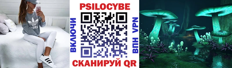 Галлюциногенные грибы Cubensis  как найти закладки  Курск 